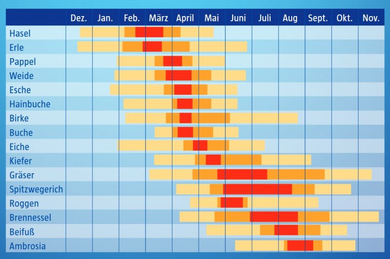 Hieke SSonderwerkzeuge Pollenflugkalender