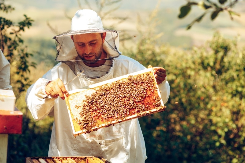 Hieke Sonderwerkzeuge Weltbienentag